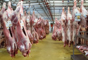 Faut-il manger de la viande
