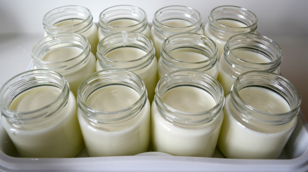 Recette de yaourts zéro déchet à la yaourtière