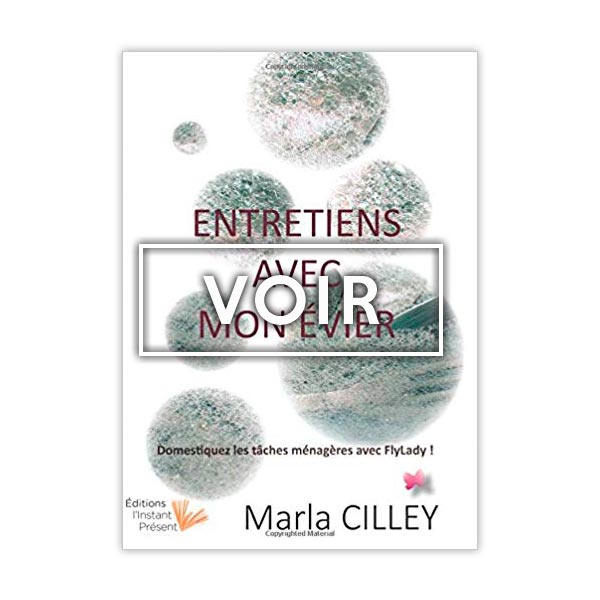 Entretiens avec mon évier