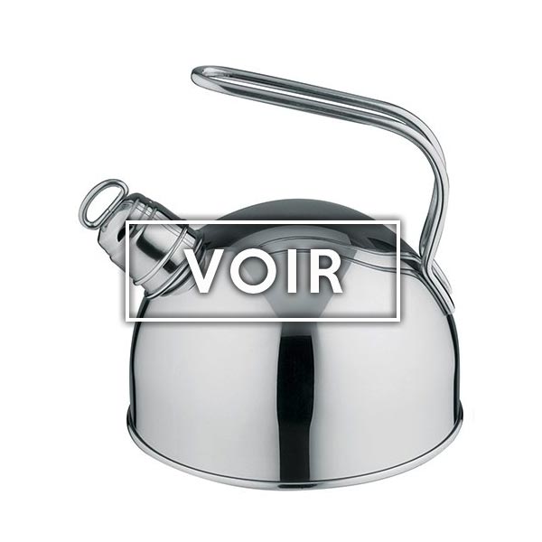 Bouilloir tout inox induction