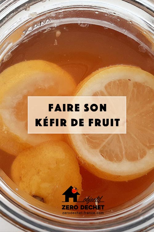 Kéfir de fruit