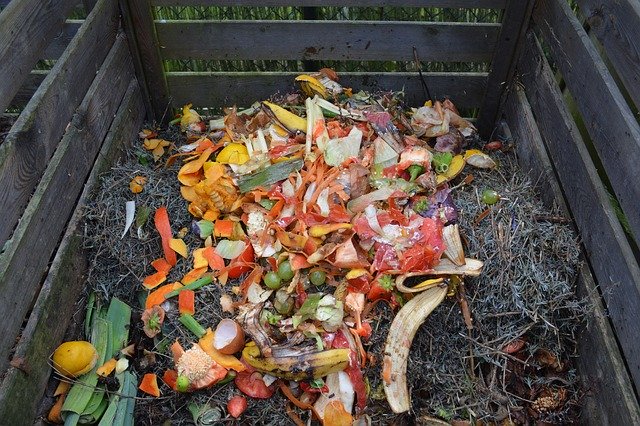 Composter pour atteindre le zéro déchet