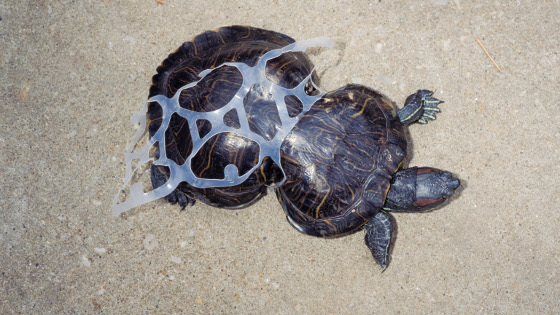 Pollution des océans avec des bouteilles en plastique