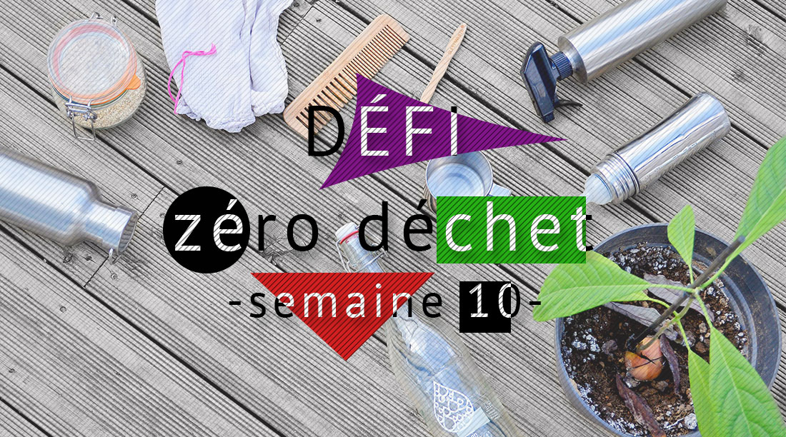 [DÉFI] Mon journal zéro déchet (S10) Objectif zéro déchet 🐞